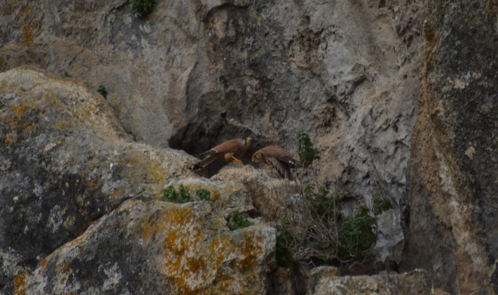Vivienda Rural El Penon De Los Primillas ลาอิรูลา ภายนอก รูปภาพ